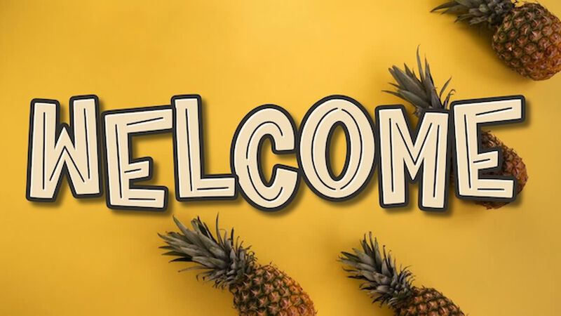 Pineapple Party Transition Videos 11-Pack